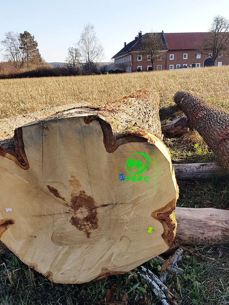 PEFC zertifiziertes Holz